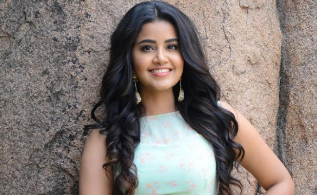 he-is-my-best-friend-in-the-industry-anupama-parameswaran