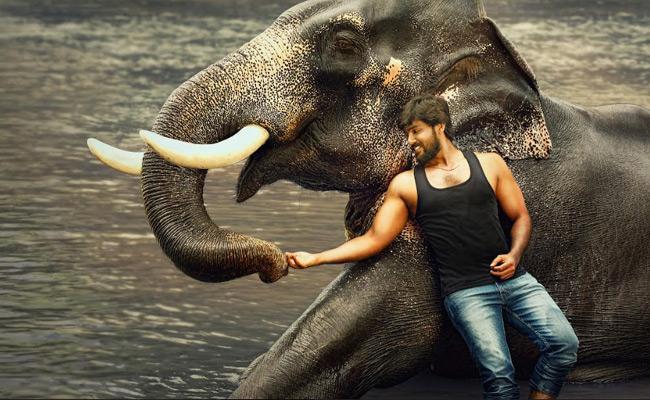 bigboss-winner-arav-first-look