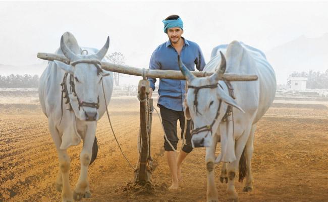 Pic Talk: Mahesh as Farmer