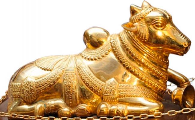 government-opts-out-of-nandi-controversy